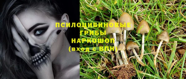 МДПВ Белокуриха