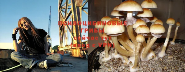 МДПВ Белокуриха