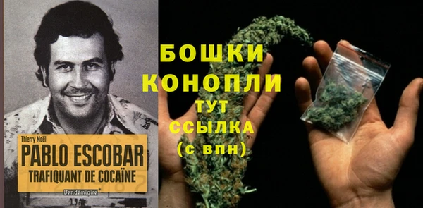 МДПВ Белокуриха