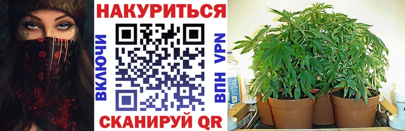 Бошки Шишки MAZAR  наркотики  Вяземский 
